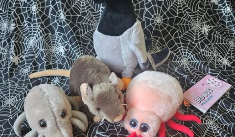 A collection of plush toys representing Pigeons, Rats & Mice, Bed bugs and Fleas.