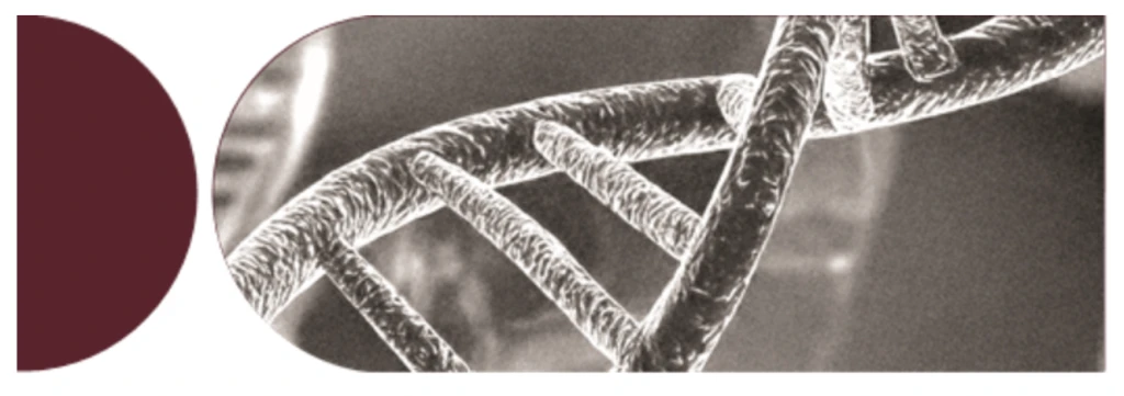 Image of DNA double helix