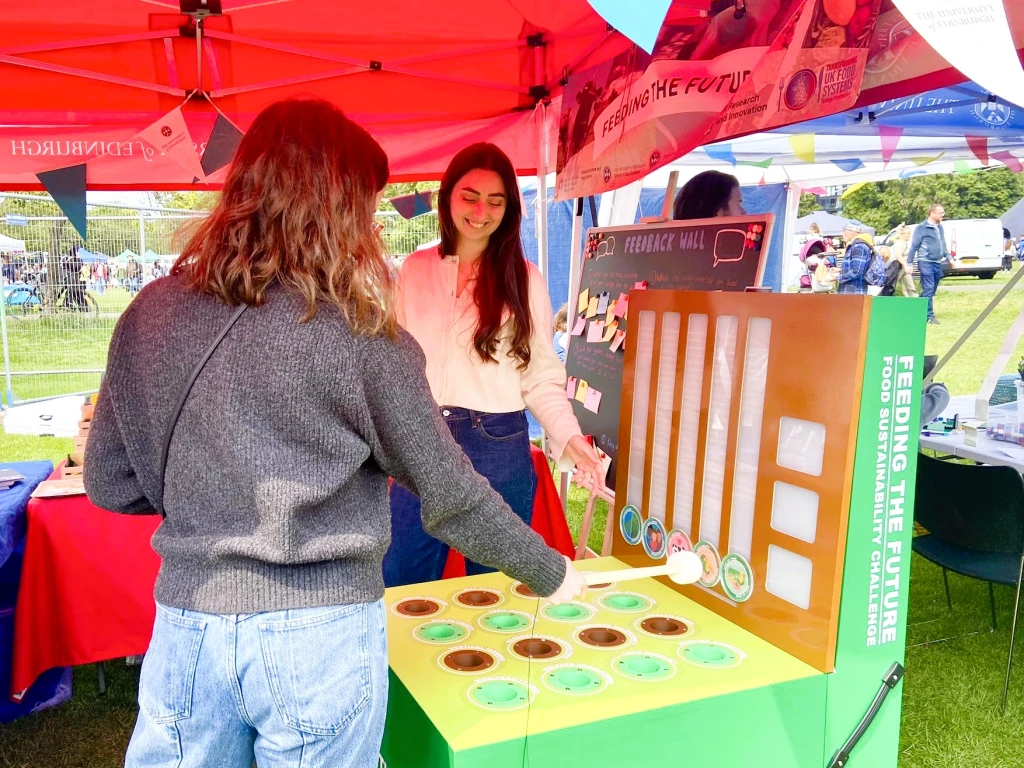 people playing a game of Whac a mole
